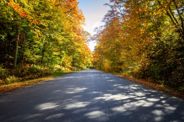 Cost of Blacktop Replacement in San Antonio