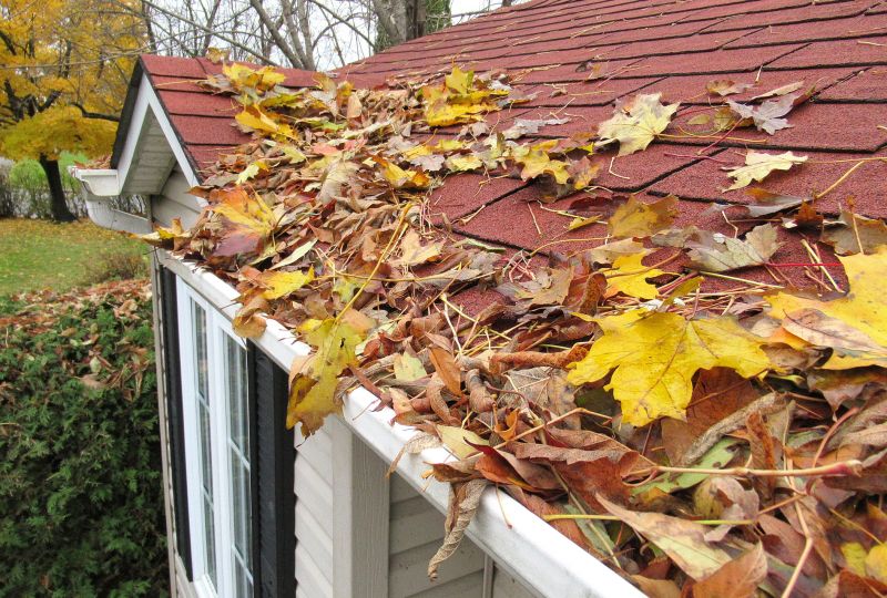 Fall Maintenance